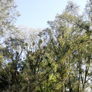 IMG_20200623_091233.jpg
