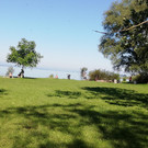IMG_20200623_091659.jpg