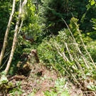 Unfall in Blons 8 - Bernd Hofmeister - VOL_AT.jpg