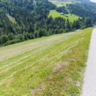 Unfall in Blons 10 - Bernd Hofmeister - VOL_AT.jpg