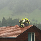 image00018.jpeg