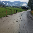 image00006.jpeg