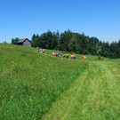 Waldwoche Kindergarten Übersaxen