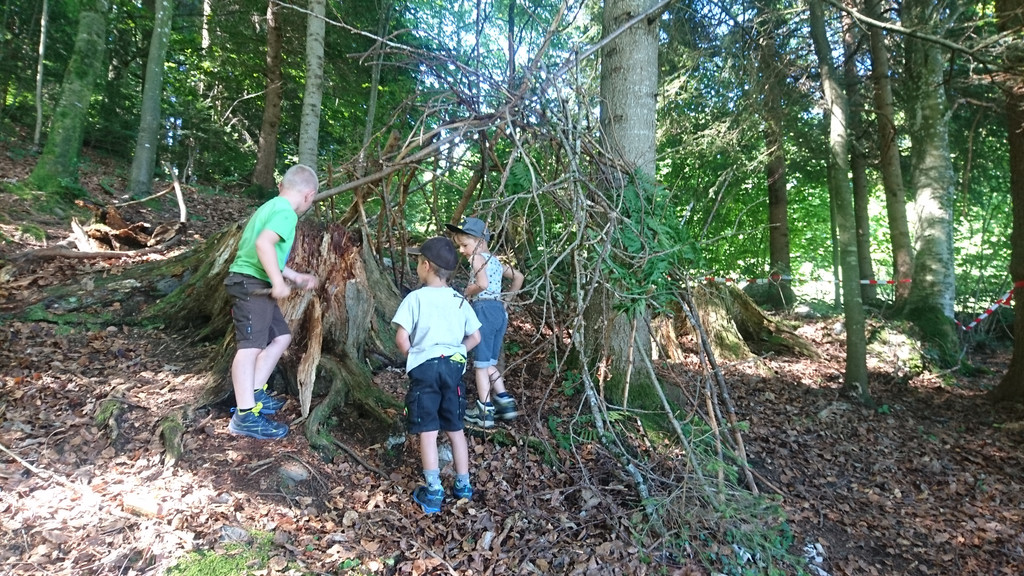 Waldwoche Juni 2020 _25_.JPG