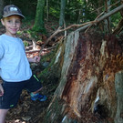 Waldwoche Juni 2020 _31_.JPG