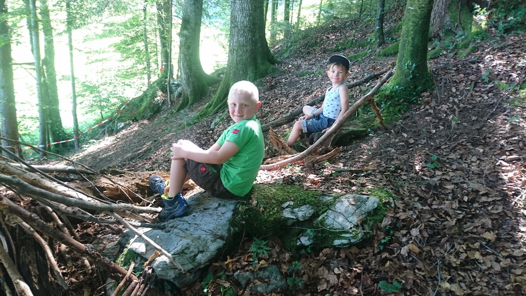 Waldwoche Juni 2020 _48_.JPG