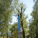 DSC_0012.JPG