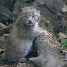 ABD0026-20200630.jpg