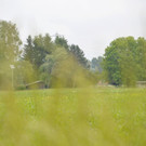 DSC_0455.JPG