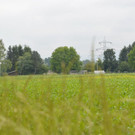 DSC_0458.JPG