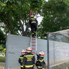 Bilder der Rettung