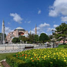 AFP_1UE2KW.jpg