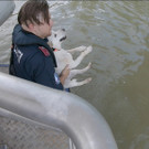 Hund aus der Donau gerettet