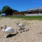 Lochau Treff am See D__MMERSCHOPPEN Sommer 2020 _7_.JPG