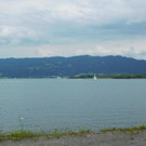 DSCI4285.JPG
