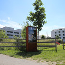 Offener Bücherschrank in Gisingen