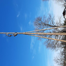 20200222_114721.jpg