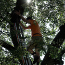 ogv20200705052749.jpeg
