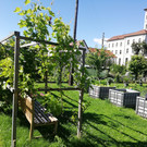 Das Salvatorkolleg