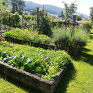IMG_20200618_101516.jpg