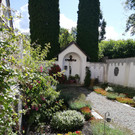 IMG_20200618_102333.jpg