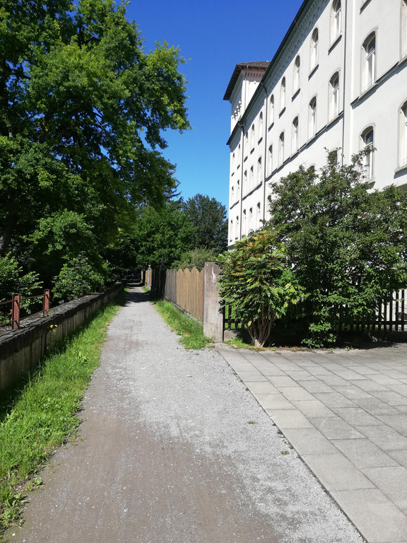 IMG_20200618_102357.jpg