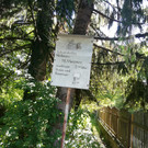 IMG_20200618_102645.jpg