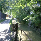 IMG_20200618_102656.jpg