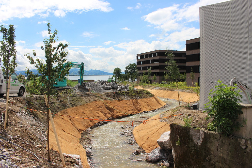 Kugelbeerbach Hochwasserschutz BF oben B Juni 2020 _2_.JPG