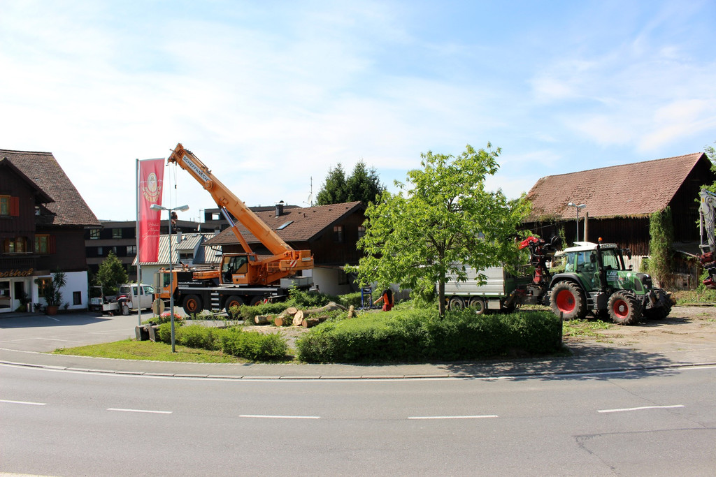 Kugelbeerbach Hochwasserschutz BF oben D Juni 2020 _1_.JPG