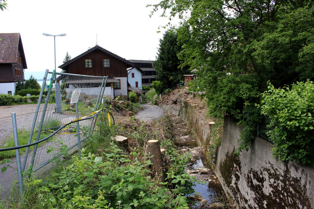 Kugelbeerbach Hochwasserschutz BF oben D Juni 2020 _3_.JPG
