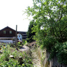 Kugelbeerbach Hochwasserschutz BF oben D Juni 2020 _4_.JPG