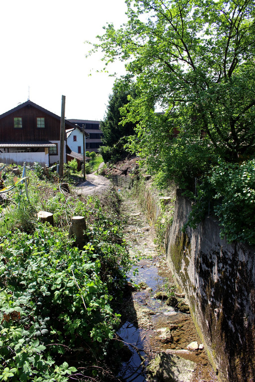 Kugelbeerbach Hochwasserschutz BF oben D Juni 2020 _4_.JPG