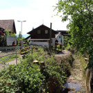 Kugelbeerbach Hochwasserschutz BF oben D Juni 2020 _5_.JPG