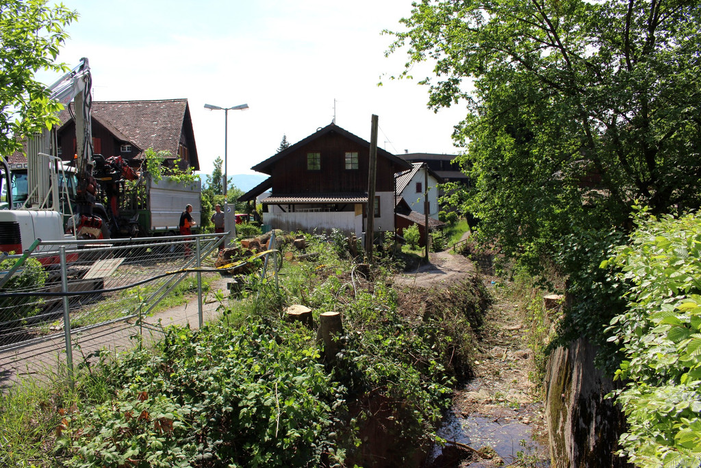 Kugelbeerbach Hochwasserschutz BF oben D Juni 2020 _5_.JPG