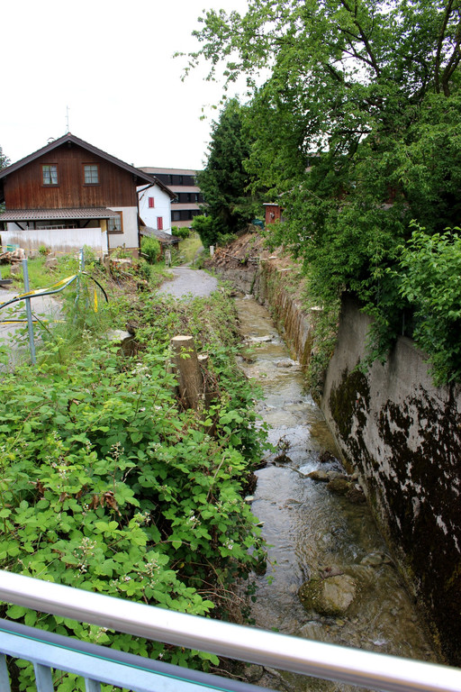 Kugelbeerbach Hochwasserschutz BF oben D Juni 2020 _6_.JPG