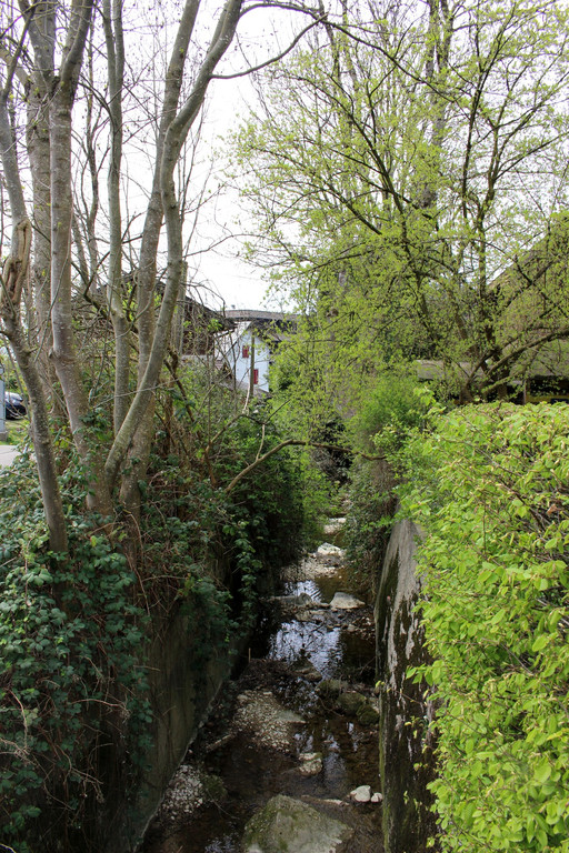 Kugelbeerbach Hochwasserschutz BF oben D Juni 2020 _7_.JPG