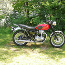 IMG_20200707_131554.jpg