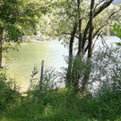 IMG_20200707_131754.jpg