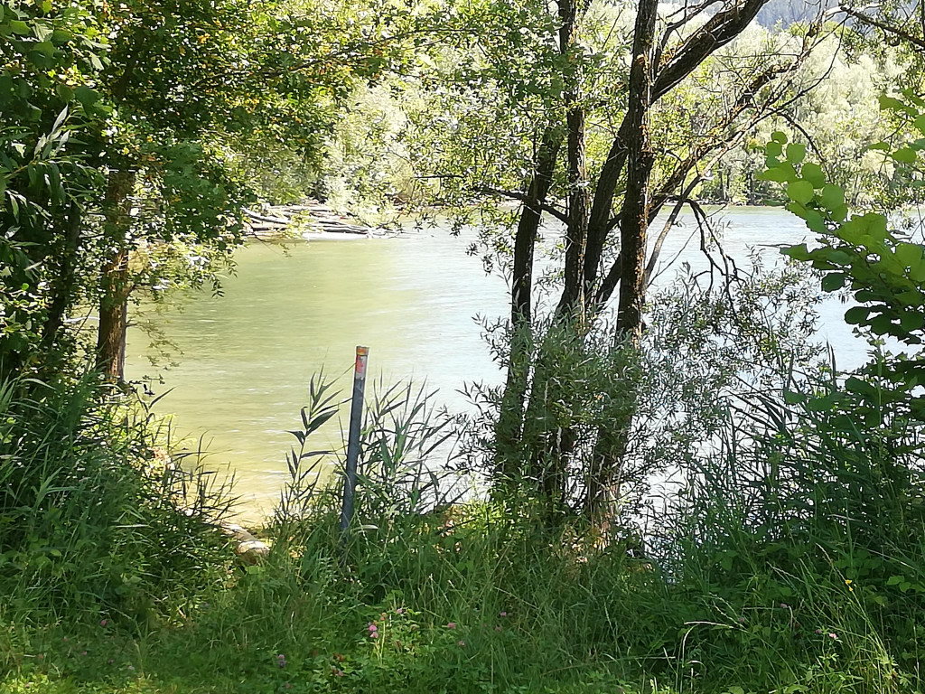 IMG_20200707_131754.jpg