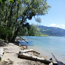 IMG_20200707_131938.jpg