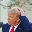 Trumps Kult-Frisuren