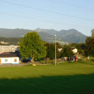 DSCI4312.JPG