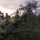 Sturm 3 - Oberleitung - Baum - Maurice Shourot - VOL_AT.jpg