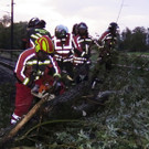 Sturm 4 - Oberleitung - Baum - Maurice Shourot - VOL_AT.jpg