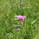 P7100039.JPG