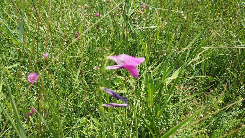 P7100039.JPG