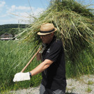 P7100057.JPG