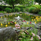 DSC00899.JPG