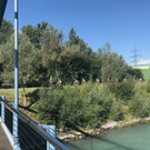 IMG_8649.jpeg